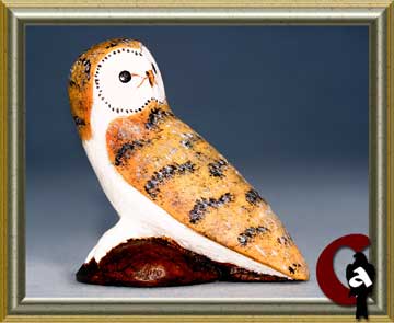 Common barn owl - Tyto alba
